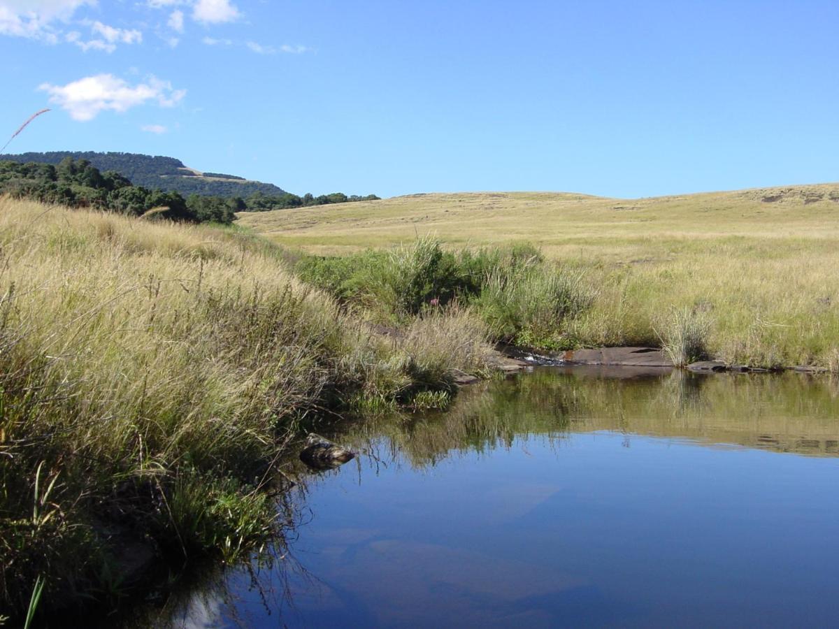 Rockwood Karkloof Forest Lodge & Mountain Cabin Yarrow Eksteriør billede