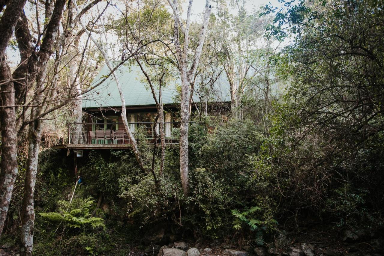 Rockwood Karkloof Forest Lodge & Mountain Cabin Yarrow Eksteriør billede